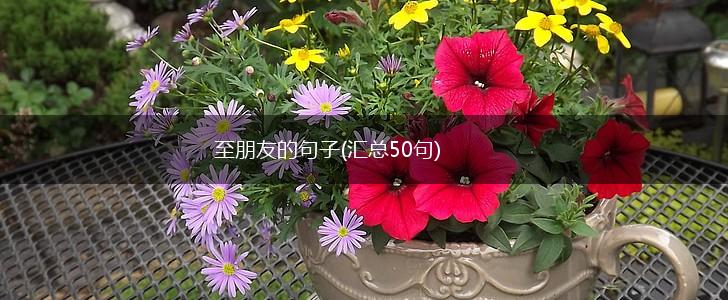 至朋友的句子(汇总50句),第1张