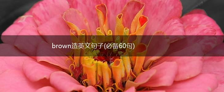 brown造英文句子(必备60句),第1张