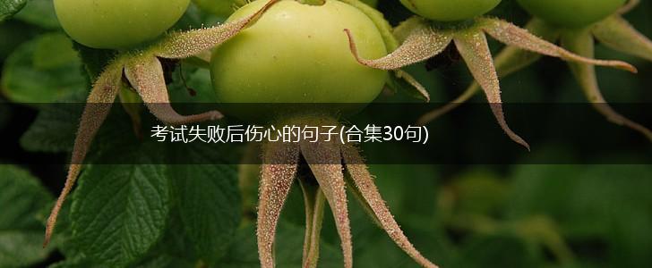 考试失败后伤心的句子(合集30句),第1张