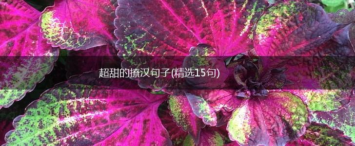 超甜的撩汉句子(精选15句),第1张