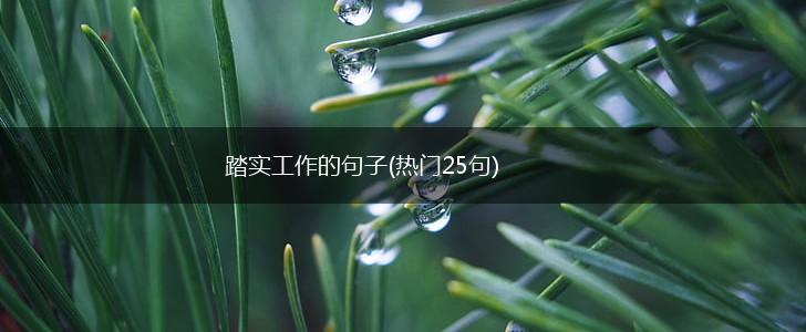 踏实工作的句子(热门25句),第1张