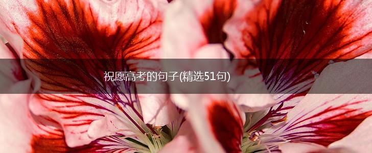 祝愿高考的句子(精选51句),第1张