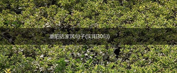 重阳话家风句子(实用30句),第1张
