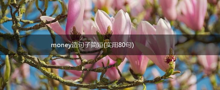 money造句子简短(实用80句),第1张