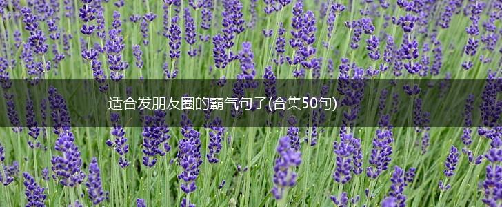 适合发朋友圈的霸气句子(合集50句),第1张