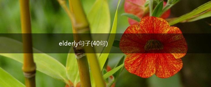 elderly句子(40句),第1张