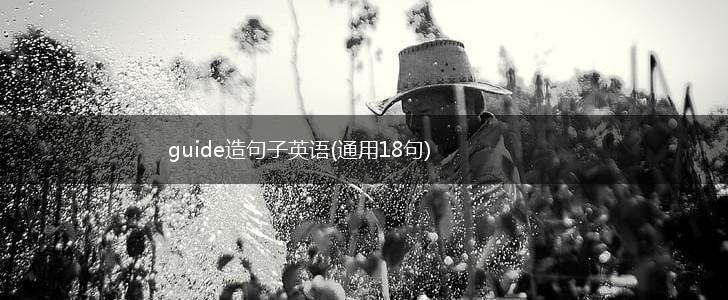 guide造句子英语(通用18句),第1张