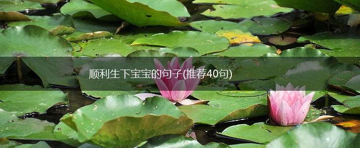 顺利生下宝宝的句子(推荐40句),第1张