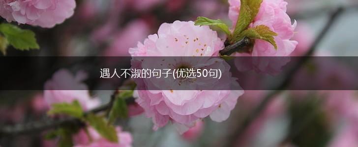 遇人不淑的句子(优选50句),第1张