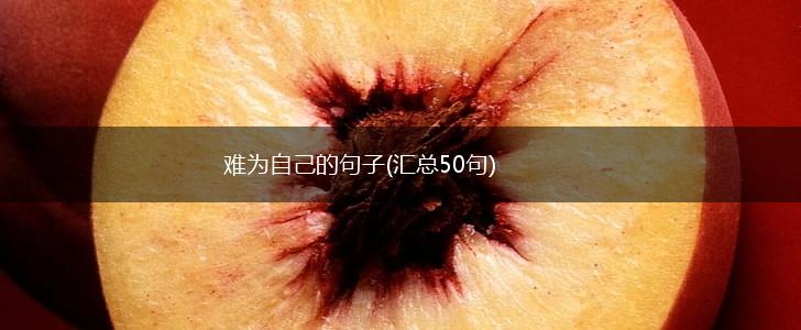 难为自己的句子(汇总50句),第1张