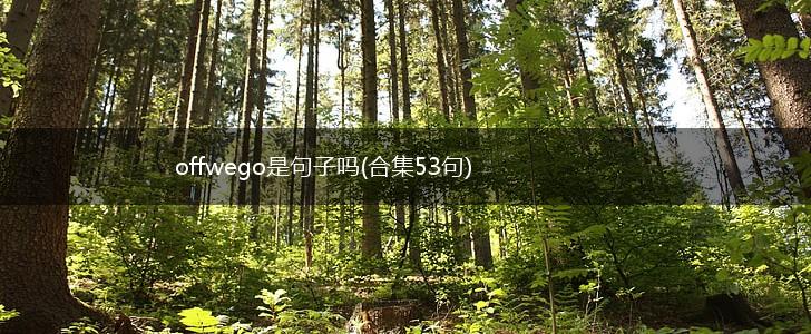 offwego是句子吗(合集53句),第1张