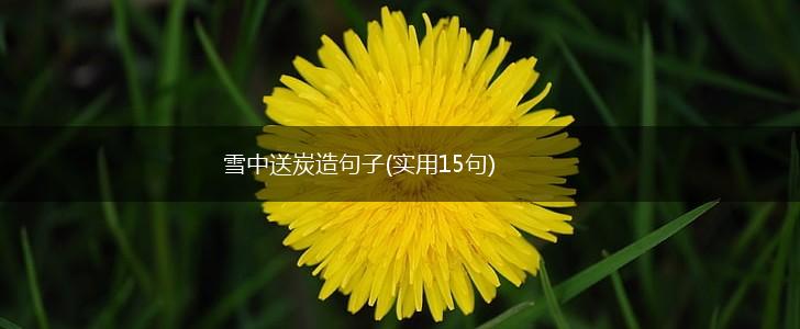 雪中送炭造句子(实用15句),第1张