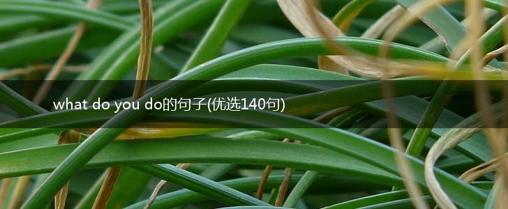what do you do的句子(优选140句),第1张