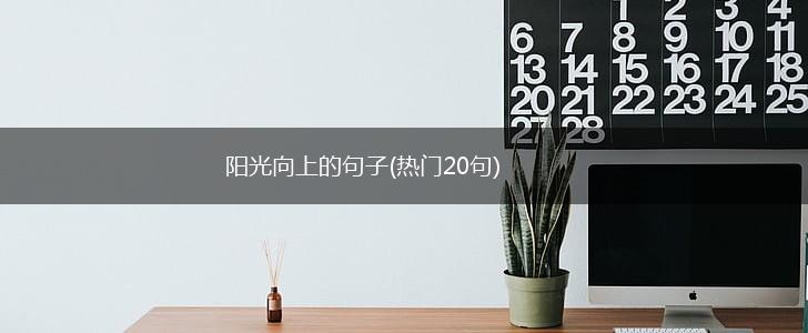 阳光向上的句子(热门20句),第1张
