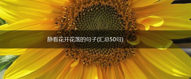 静看花开花落的句子(汇总50句),第1张