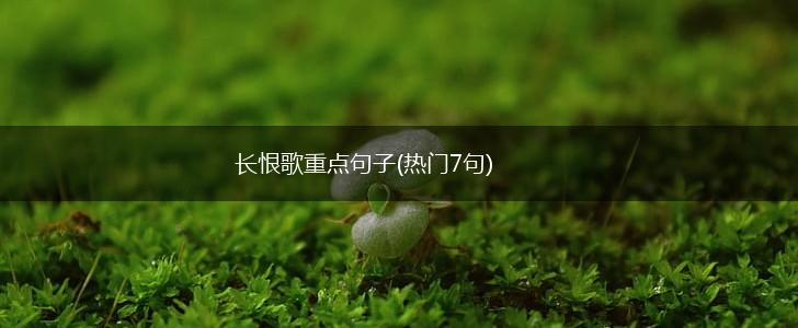 长恨歌重点句子(热门7句),第1张