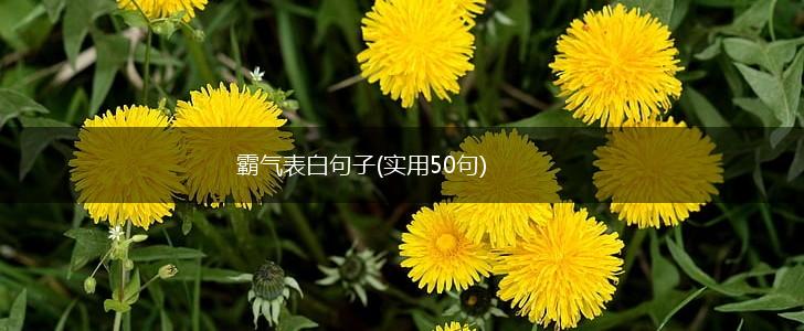 霸气表白句子(实用50句),第1张