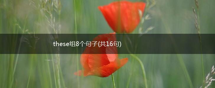these组8个句子(共16句),第1张