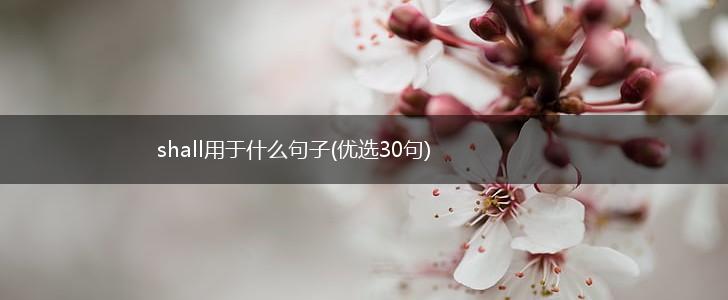 shall用于什么句子(优选30句),第1张