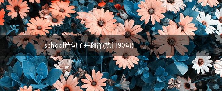 school造句子并翻译(热门90句),第1张