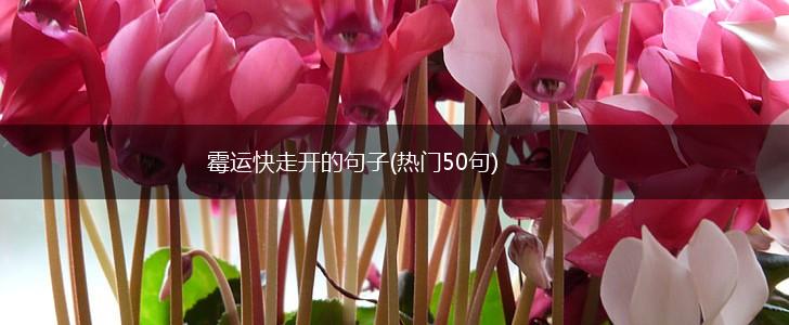 霉运快走开的句子(热门50句),第1张