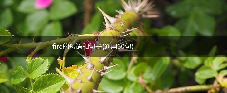 fire的短语和句子(通用60句),第1张