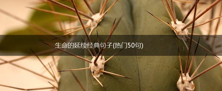 生命的延续经典句子(热门50句),第1张
