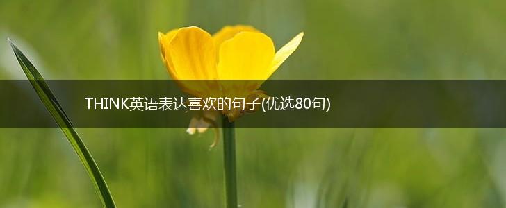 THINK英语表达喜欢的句子(优选80句),第1张