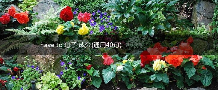 have to 句子 成分(通用40句),第1张