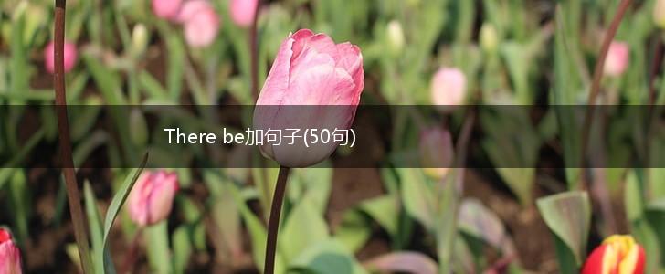 There be加句子(50句),第1张