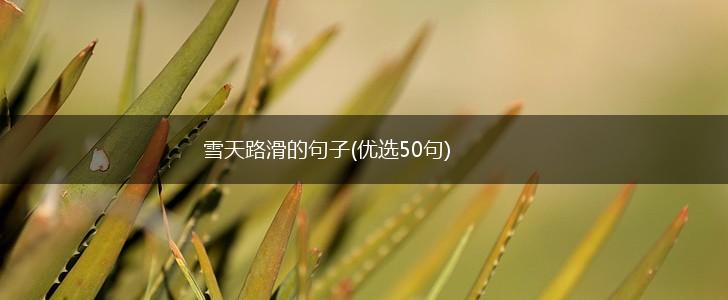 雪天路滑的句子(优选50句),第1张