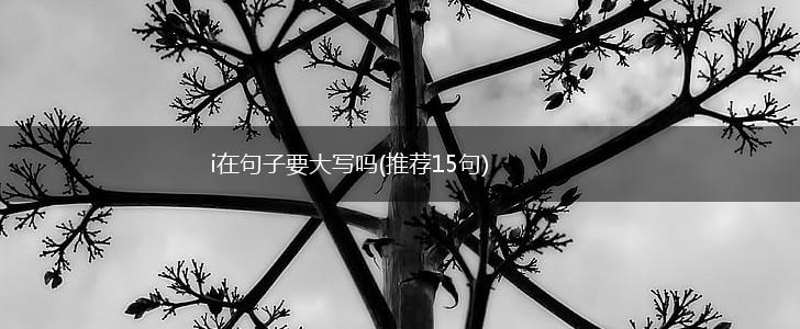 i在句子要大写吗(推荐15句),第1张