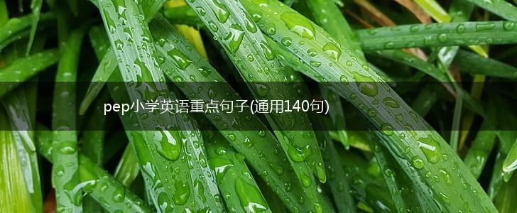 pep小学英语重点句子(通用140句),第1张