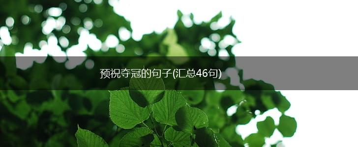 预祝夺冠的句子(汇总46句),第1张