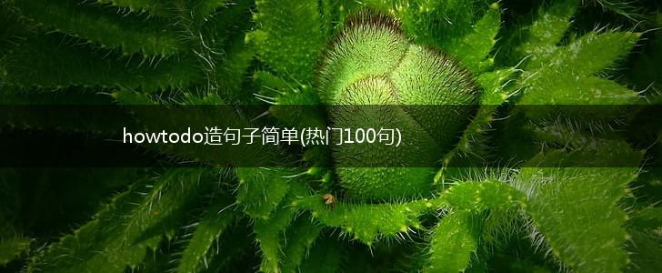 howtodo造句子简单(热门100句),第1张