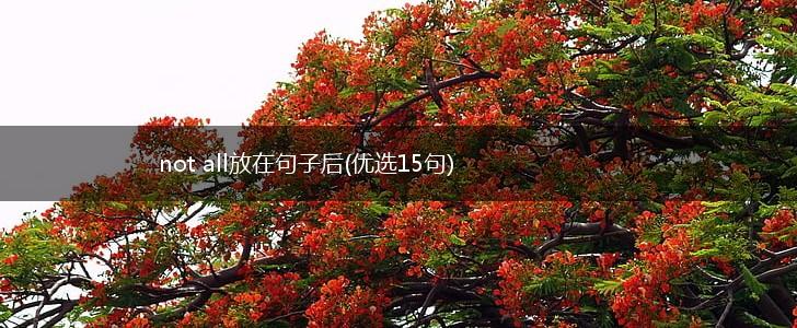 not all放在句子后(优选15句),第1张
