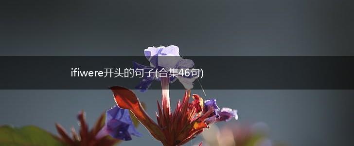 ifiwere开头的句子(合集46句),第1张