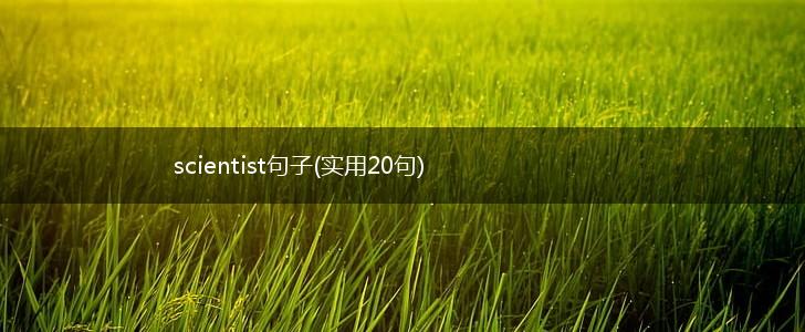 scientist句子(实用20句),第1张