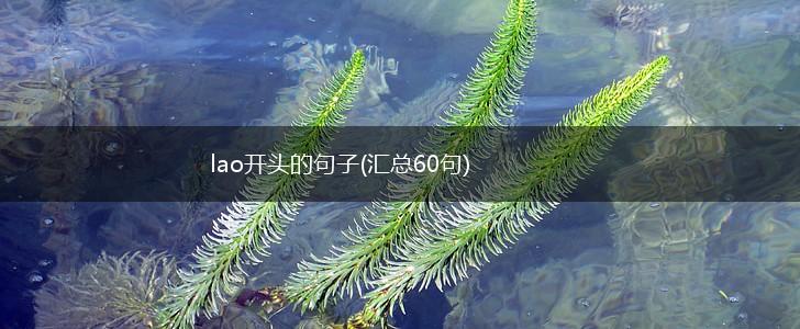 lao开头的句子(汇总60句),第1张