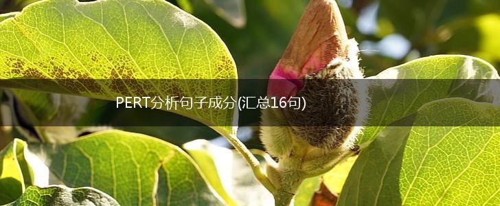PERT分析句子成分(汇总16句),第1张