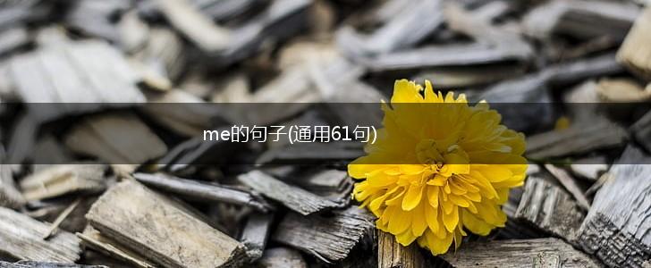 me的句子(通用61句),第1张