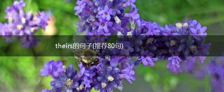 theirs的句子(推荐80句),第1张