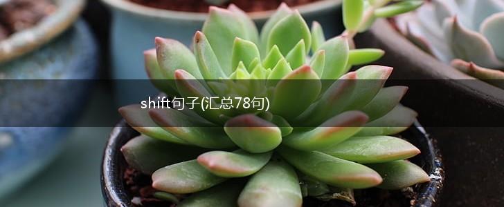 shift句子(汇总78句),第1张