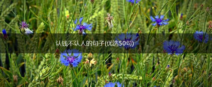 认钱不认人的句子(优选50句),第1张