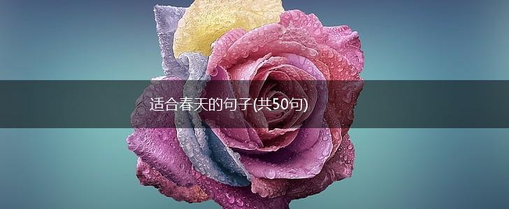 适合春天的句子(共50句),第1张