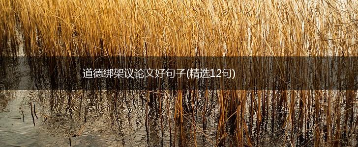 道德绑架议论文好句子(精选12句),第1张