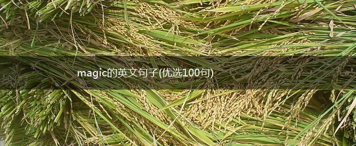 magic的英文句子(优选100句),第1张
