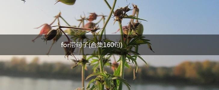 for带句子(合集160句),第1张