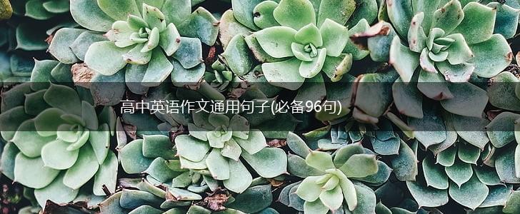 高中英语作文通用句子(必备96句),第1张