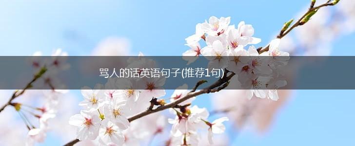骂人的话英语句子(推荐1句),第1张